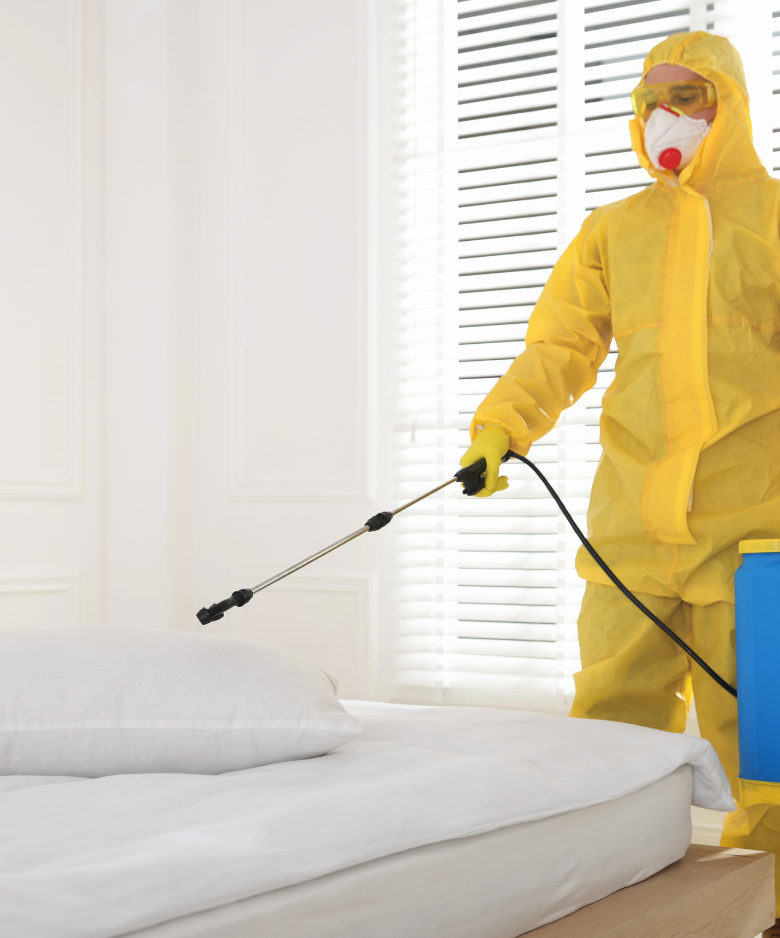 Professional Pest Control Team in Evanston